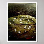Glow Drop posters
