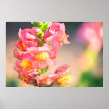 Glow on me print