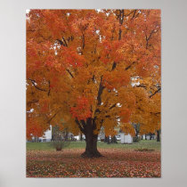 Glow Tree Print