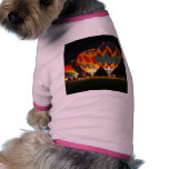 Glowing Balloons!  Light up the night! pet clothing