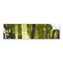 Glowing Bamboo. Tokyo, Japan. Bumper Stickers
