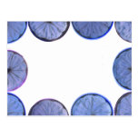 Glowing blue Lemon and lime slice frame Postcard