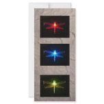 Glowing Dragonflies rack cards