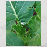 Glowing Droplet on broccoli leaf Flyer Design