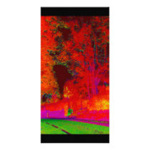 Glowing Forest Along Road Photo Card
