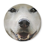Glowing Fridge Magnet