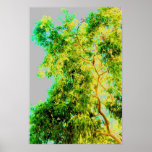 Glowing Gum Tree posters