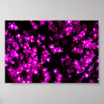 Glowing Pink Flower Lights Posters