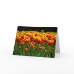 Glowing Red Tulip Greeting Card
