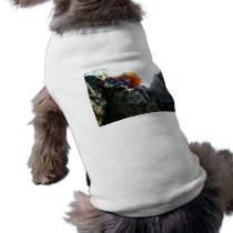 Glowing Stone Pet Shirt