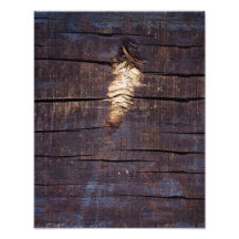 Glowing Wood Photo
