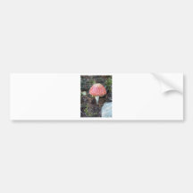 Glückspilz Autosticker