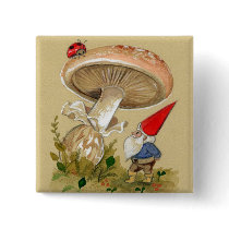 Gnome find a Ladybug and Mushroom