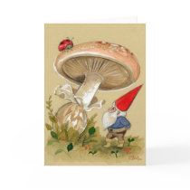 Gnome find a Ladybug and Mushroom