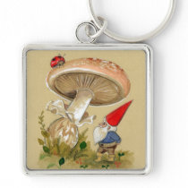 Gnome find a Ladybug and Mushroom