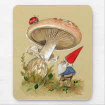 Gnome find a Ladybug and Mushroom