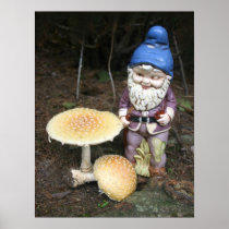 Gnome In The Garden Photo Print