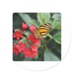 GO GREEN! Butterfly Colors of Spring Round Sticker