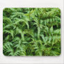 "Go Green" Fern Print Save the Planet Mousepad