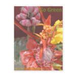 Go Green Live Green Postcard