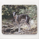 Go Greyhound mousepads