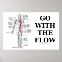 Go With The Flow (Circulatory System)