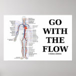 Go With The Flow (Circulatory System) Poster