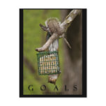 GOALS Inspirational Funny Squirrel Postcards