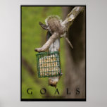 GOALS Inspirational Funny Squirrel Poster Print