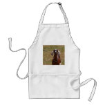 Goat Aprons