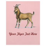 Goat:  Brown flyers