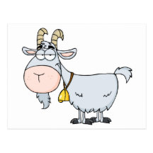 Goat Cartoon Character Postcard