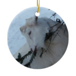 GOAT EATING CHRISTMAS TREE - ORNAMENT ornaments