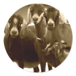 Goat Family Stickers