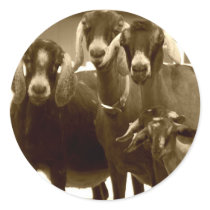 Goat Family Stickers