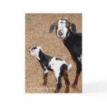 goat, glorydaysphotography greeting cards