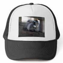 Goat Hat