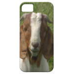 Goat iPhone Case iPhone 5 Cases