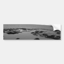 Goat Island Tidal Rockpools Bumper Stickers