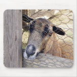Goat mousepads