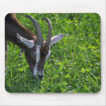 Goat Mousepad