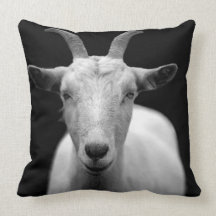 Goat Pillow