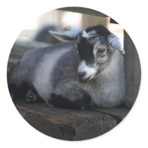 Goat Sticker