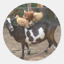 Goat taxi sticker