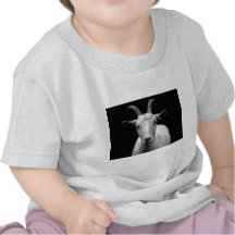 Goat Tee Shirts