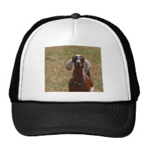 Goat Trucker Hat