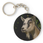 Goat Watching keychains