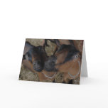 goats greeting card