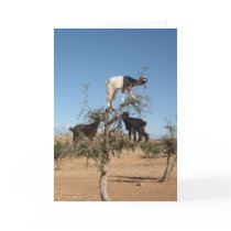 Goats in Argan tree Greeting Card