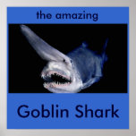 Goblin Shark posters